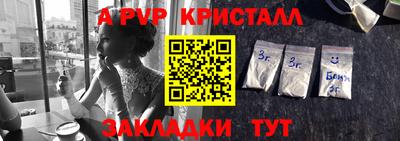 бошки Шелехов