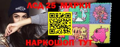 бошки Шелехов