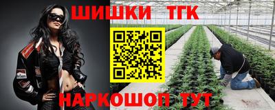 бошки Шелехов