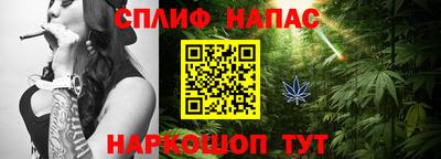 бошки Шелехов