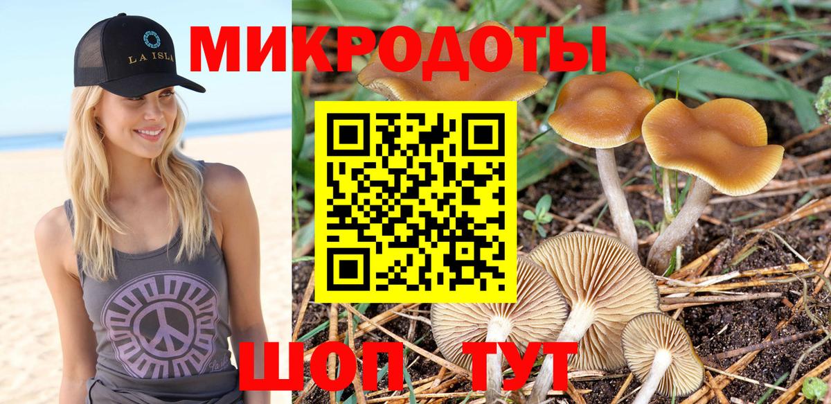 Псилоцибиновые грибы мухоморы Асбест